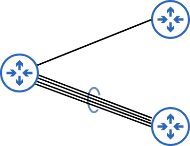 Link Aggregation Group (LAG)