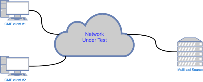 A typical IGMP network under test